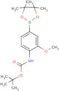 4-(tert-Butoxycarbonylamino)-3-methoxyphenylboronic acid, pinacol ester