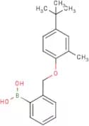 2-[(4'-tert-Butyl-2'-methylphenoxy)methyl]phenylboronic acid