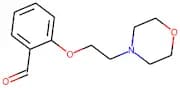 2-(2-Morpholin-4-ylethoxy)benzaldehyde 95%