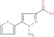 1-Methyl-5-(thien-2-yl)-1H-pyrazole-3-carboxylic acid