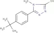 5-(4-tert-Butylphenyl)-4-methyl-1,2,4-triazole-3-thiol