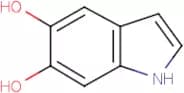 5,6-Dihydroxy-1H-indole