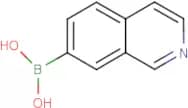 Isoquinoline-7-boronic acid