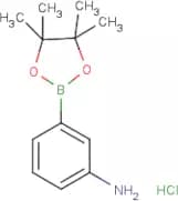 3-Aminobenzeneboronic acid, pinacol ester hydrochloride
