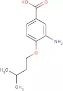 3-Amino-4-(isopentyloxy)benzoic acid