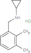 N-(2,3-Dimethylbenzyl)cyclopropylamine hydrochloride