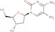 2'-Deoxy-5-methylcytidine