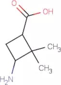 3-Amino-2,2-dimethylcyclobutane-1-carboxylic acid