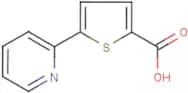 5-(Pyridin-2-yl)thiophene-2-carboxylic acid