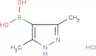 3,5-Dimethyl-1H-pyrazole-4-boronic acid hydrochloride
