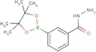 3-(Hydrazinocarbonyl)benzeneboronic acid, pinacol ester