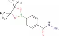 4-(Hydrazinocarbonyl)benzeneboronic acid, pinacol ester