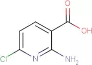 2-Amino-6-chloronicotinic acid