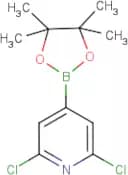 2,6-Dichloro-4-(4,4,5,5-tetramethyl-1,3,2-dioxaborolan-2-yl)pyridine