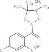 7-Chloroquinoline-4-boronic acid, pinacol ester