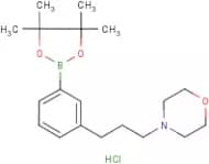3-[3-(Morpholin-4-yl)propyl]benzeneboronic acid, pinacol ester hydrochloride