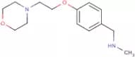 N-Methyl-1-{4-[2-(morpholin-4-yl)ethoxy]phenyl}methylamine