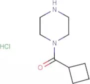 1-(Cyclobutylcarbonyl)piperazine hydrochloride