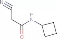 2-Cyano-N-cyclobutyl-acetamide
