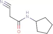 2-Cyano-N-cyclopentyl-acetamide