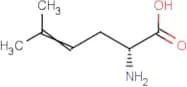 (R)-2-Amino-5-methylhex-4-enoic acid