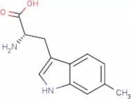 6-Methyl-L-tryptophan