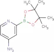 4-Aminopyridine-2-boronic acid pinacol ester