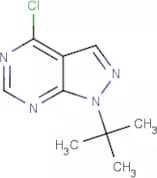 1-tert-Butyl-4-chloro-pyrazolo[3,4-d]pyrimidine