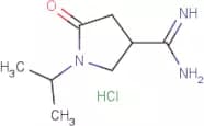1-Isopropyl-2-oxopyrrolidine-4-carboxamidine hydrochloride