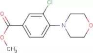 Methyl 3-Chloro-4-morpholinobenzoate