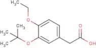 2-[3-(tert-Butoxy)-4-ethoxyphenyl]acetic acid