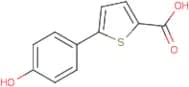 5-(4-Hydroxyphenyl)thiophene-2-carboxylic acid