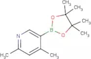 4,6-Dimethylpyridine-3-boronic acid Pinacol Ester