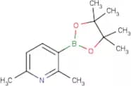2,6-Dimethylpyridine-3-boronic acid Pinacol Ester