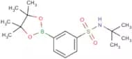 3-[N-(tert-Butyl)sulfamoyl]phenylboronic acid Pinacol Ester