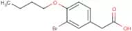 3-Bromo-4-butoxyphenylacetic acid