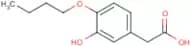 4-Butoxy-3-hydroxyphenylacetic acid
