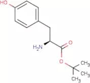 L-Tyrosine tert-butyl ester