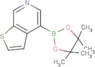 Thieno[2,3-c]pyridine-4-boronic acid, pinacol ester