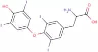 2-Amino-3-[4-(4-hydroxy-3,5-diiodo-phenoxy)-3,5-diiodo-phenyl]propanoic acid