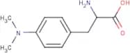 2-amino-3-[4-(dimethylamino)phenyl]propanoic acid