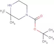 tert-Butyl 3,3-dimethylpiperazine-1-carboxylate