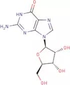 Guanosine