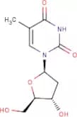 2'-Deoxythymidine