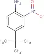 4-(tert-Butyl)-2-nitroaniline