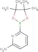6-Aminopyridine-2-boronic acid, pinacol ester