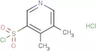 4,5-Dimethylpyridine-3-sulfonyl chloride hydrochloride