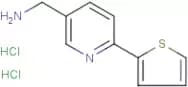 [6-(Thien-2-yl)pyridin-3-yl]methylamine dihydrochloride