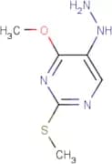 5-Hydrazinyl-4-methoxy-2-(methylsulfanyl)pyrimidine