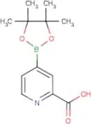 2-Carboxypyridine-4-boronic acid, pinacol ester